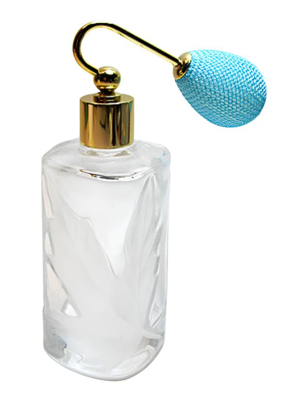 Refillable atomizer bottle